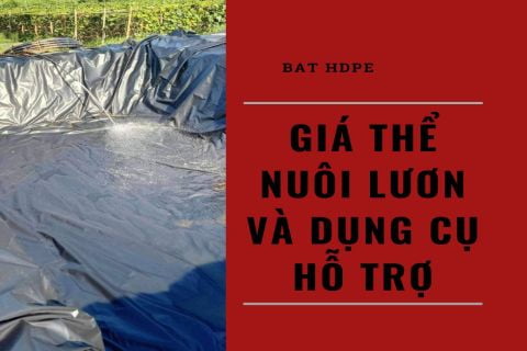 Giá Thể Dùng Cho Nuôi Lươn Và Một Số Dụng Cụ Hỗ Trợ 