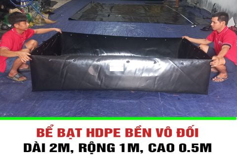 Kỹ Thuật Nuôi Lươn Trong Bể Không Bùn