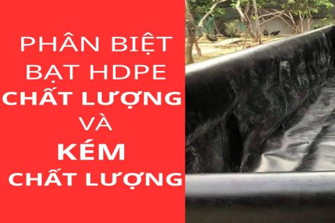 Phân biệt Bạt HDPE chất lượng cao và kém chất lượng.