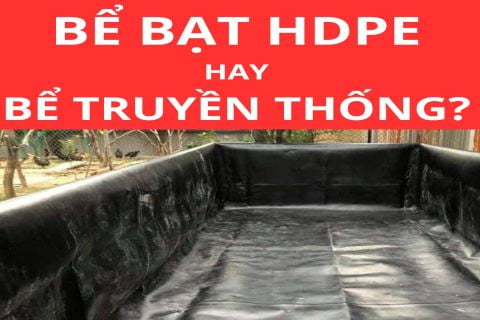 Bể Bạt HDPE Và Bể Truyền Thống| Đâu Là Lựa Chọn Tối Ưu?