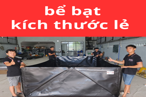 Làm bể bạt kích thước lẻ