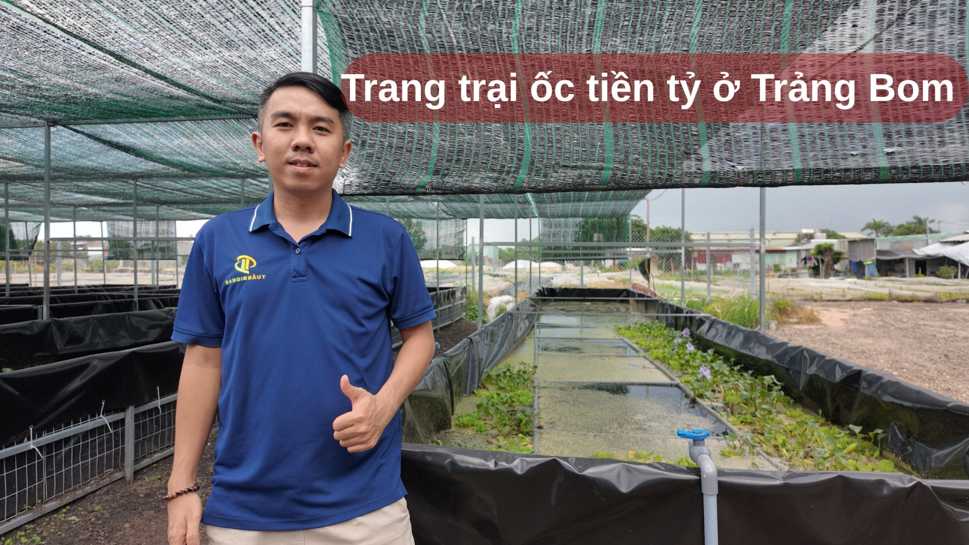 Hướng Dẫn Chi Tiết Mô Hình Nuôi Ốc Bằng Bể Nổi HDPE: Quy Trình Lắp Đặt & Vận Hành Cho Trang Trại