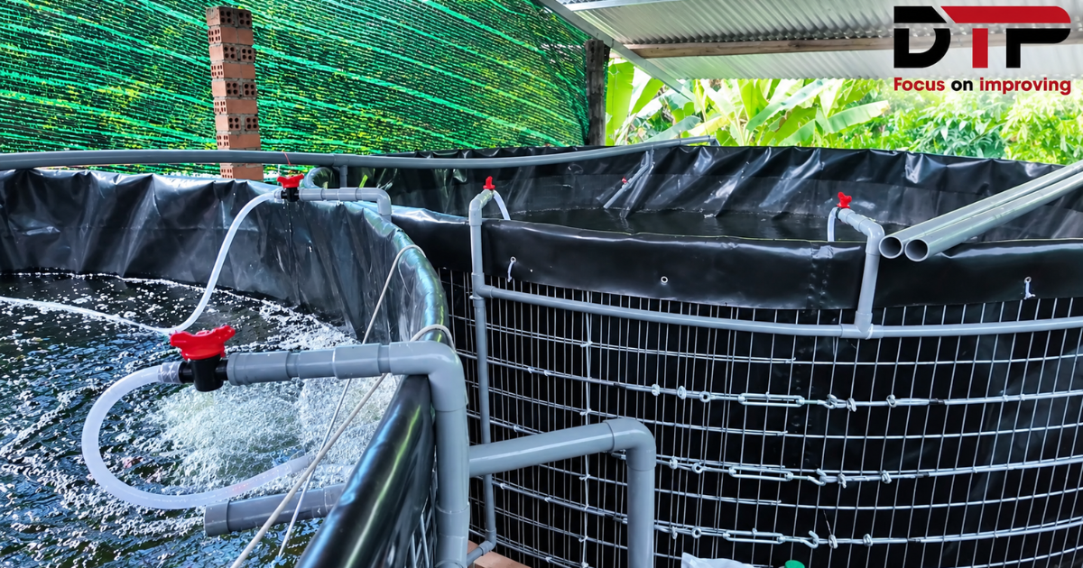  Mô hình bể tròn HDPE nuôi cá chình bông thực tế tại Trảng Bom, Đồng Nai