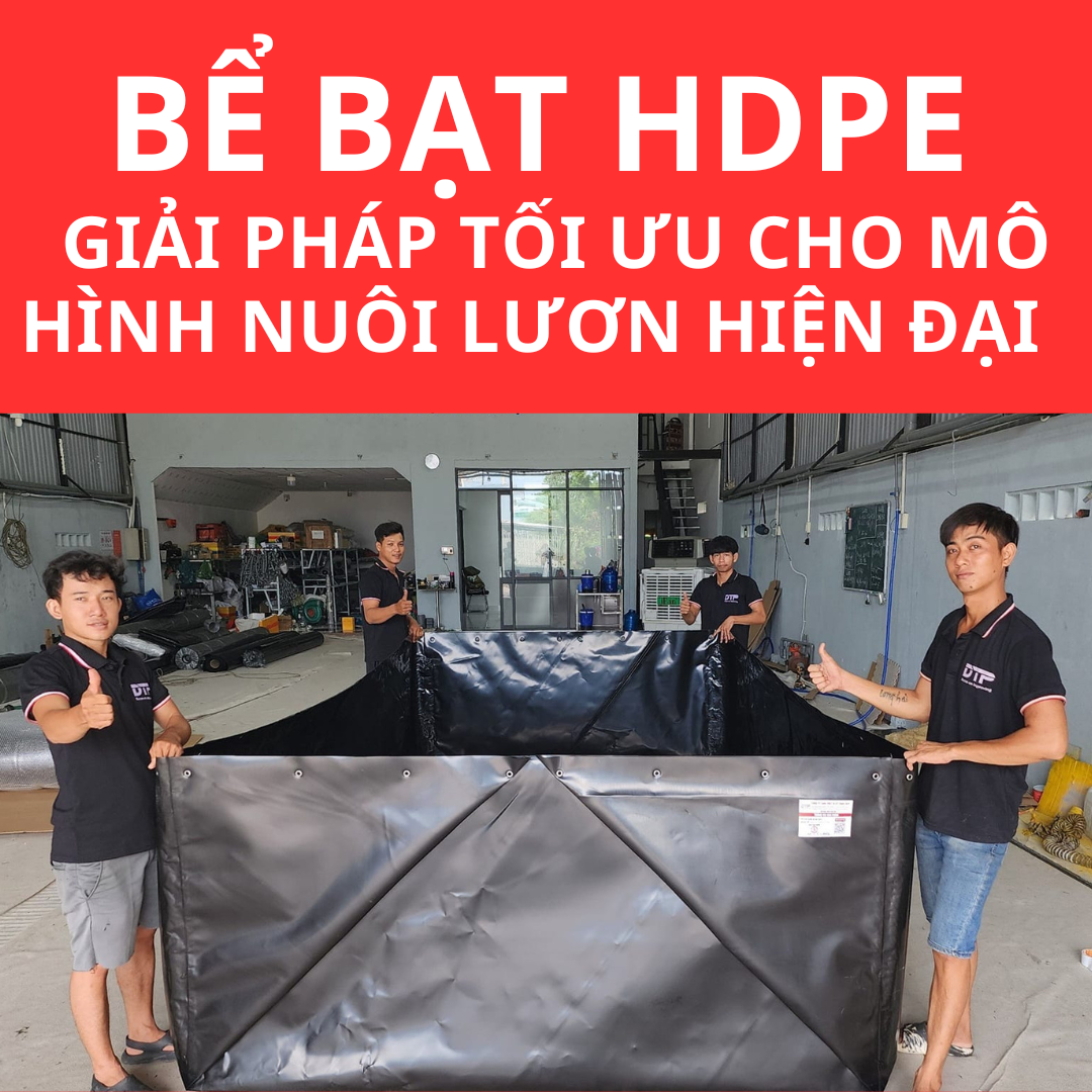 Bể Bạt HDPE – Giải Pháp Tối Ưu Cho Mô Hình Nuôi Lươn Hiện Đại