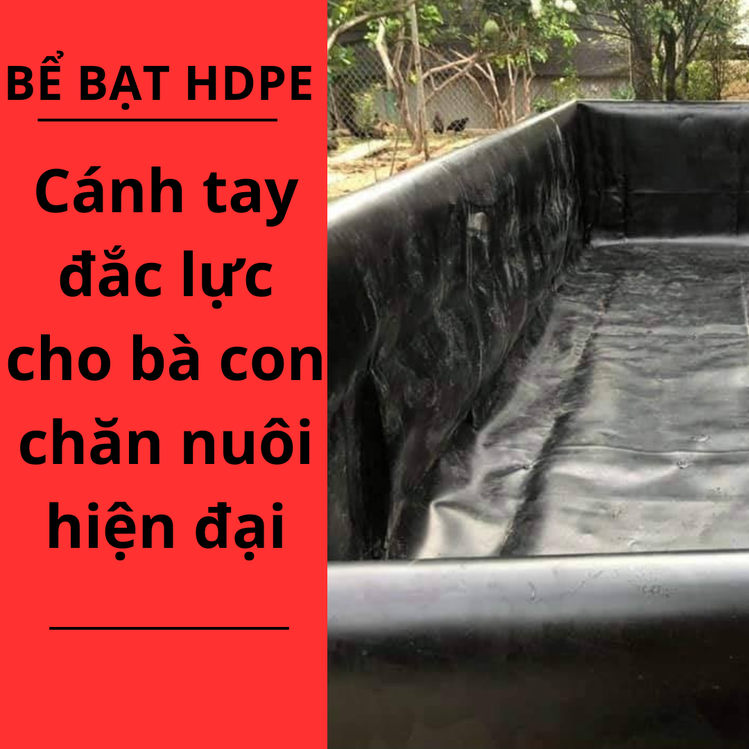 Bể bạt HDPE: Cánh tay đắc lực cho bà con chăn nuôi hiện đại 