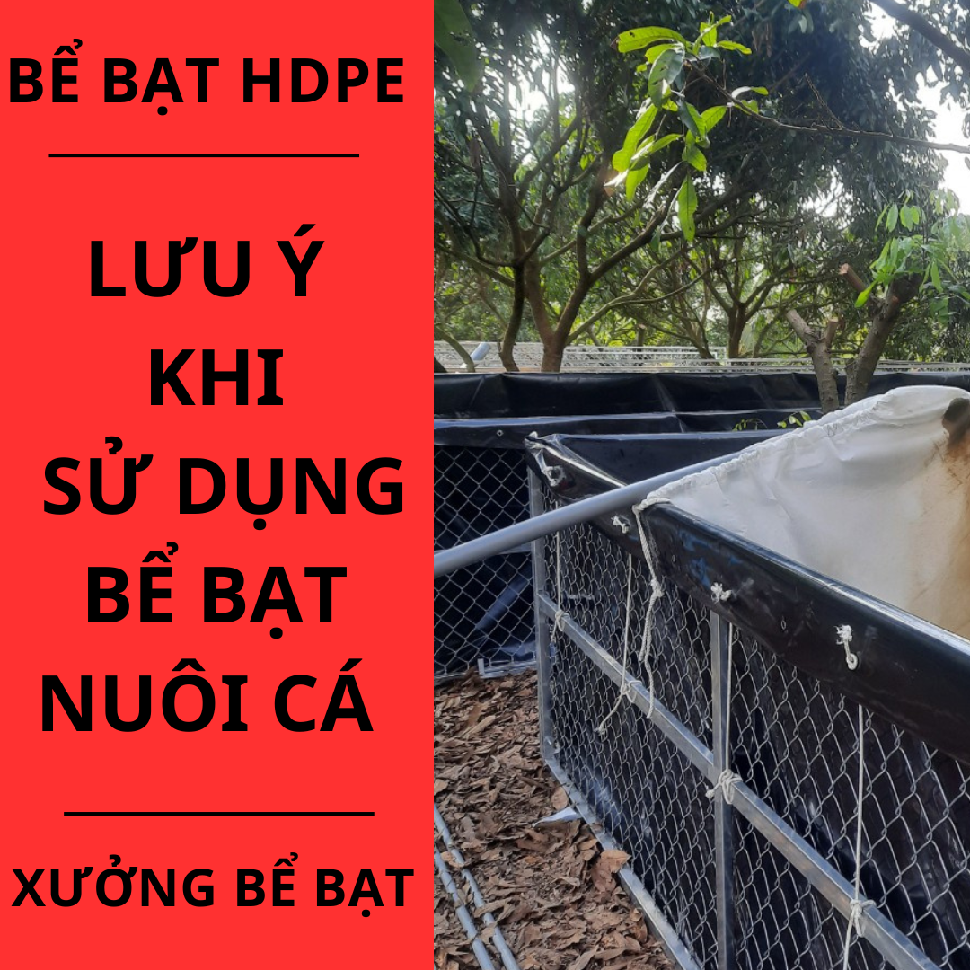 Những Lưu ý khi sử dụng bể bạt nuôi cá. 