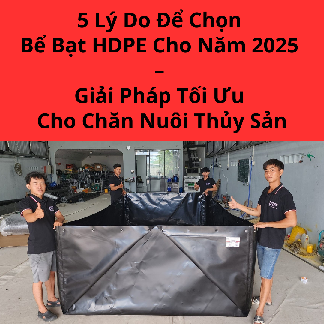 5 Lý Do Để Chọn Bể Bạt HDPE Cho Năm 2025 – Giải Pháp Tối Ưu Cho Chăn Nuôi Thủy Sản